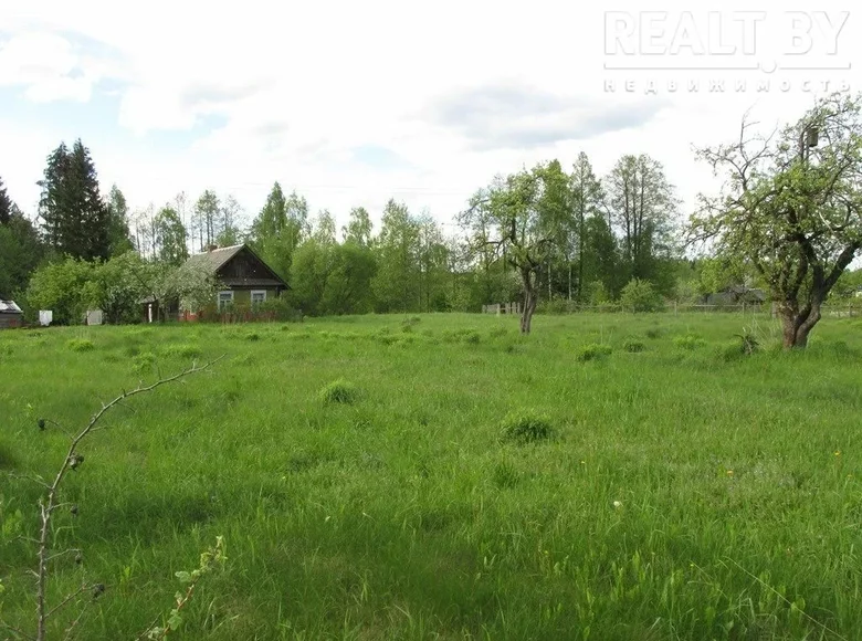Haus 31 m² Smalyavichy District, Weißrussland