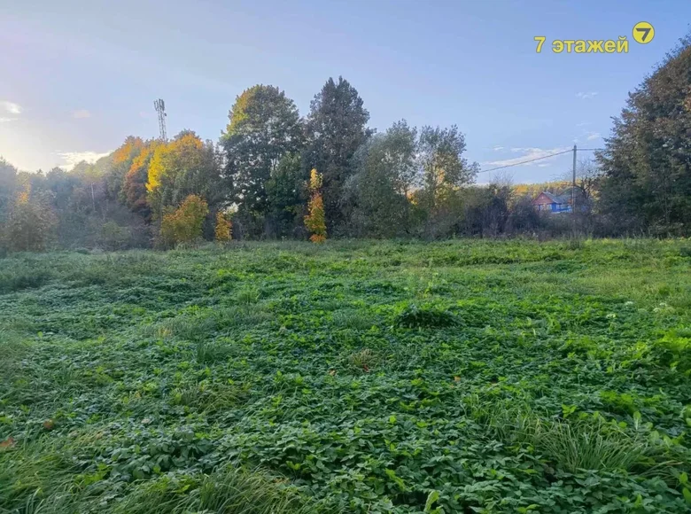 Maison 50 m² Rakauski selski Savet, Bélarus