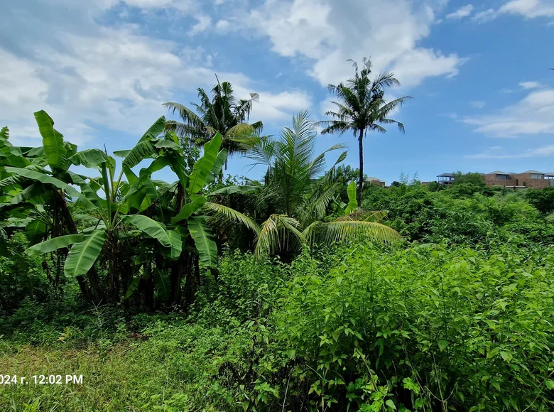 Land  Sengkol, Indonesia