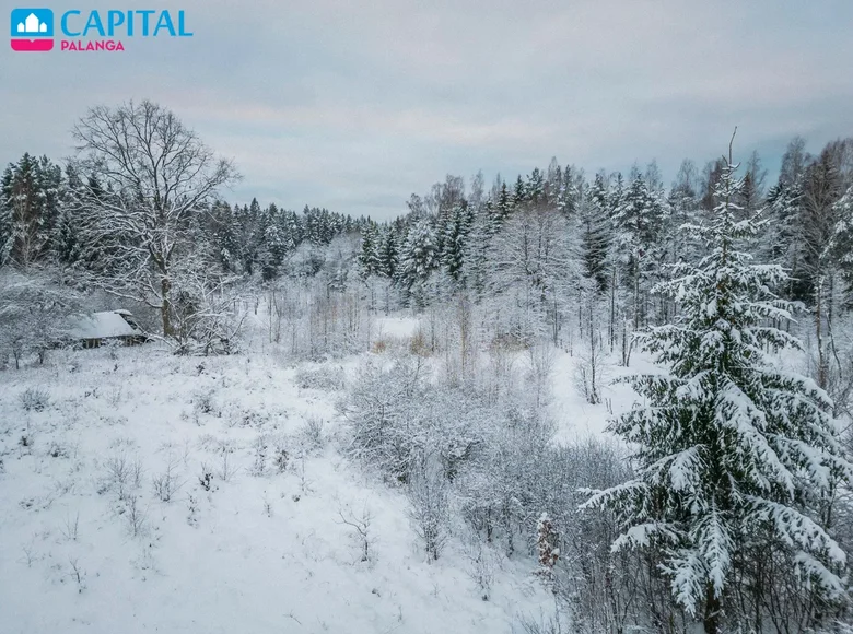 Land  Drumulis, Lithuania