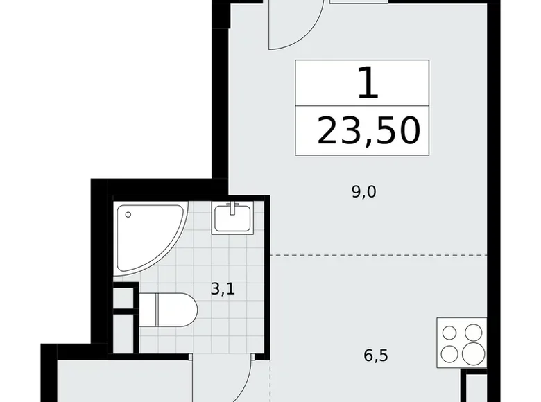 1 room apartment 24 m² Postnikovo, Russia