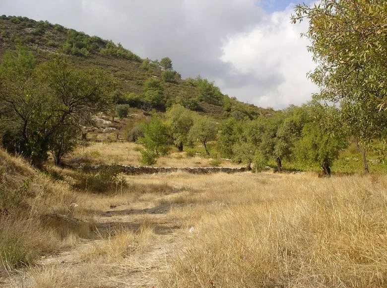 Land  Pera Pedi, Cyprus