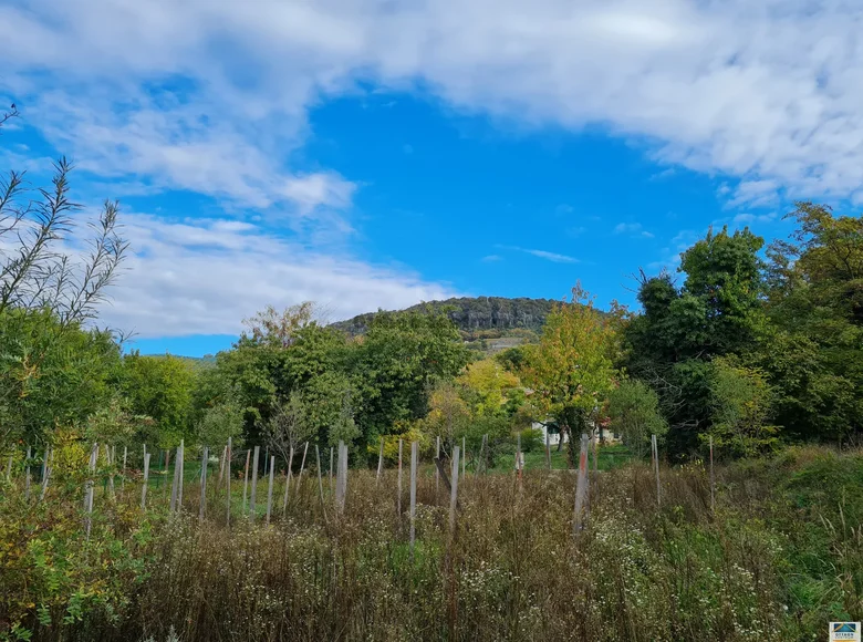 Grundstück 1 500 m² Badacsonytomaj, Ungarn