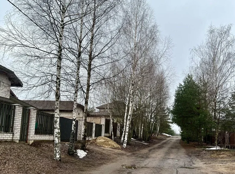 Casa de campo  Bialarucki sielski Saviet, Bielorrusia