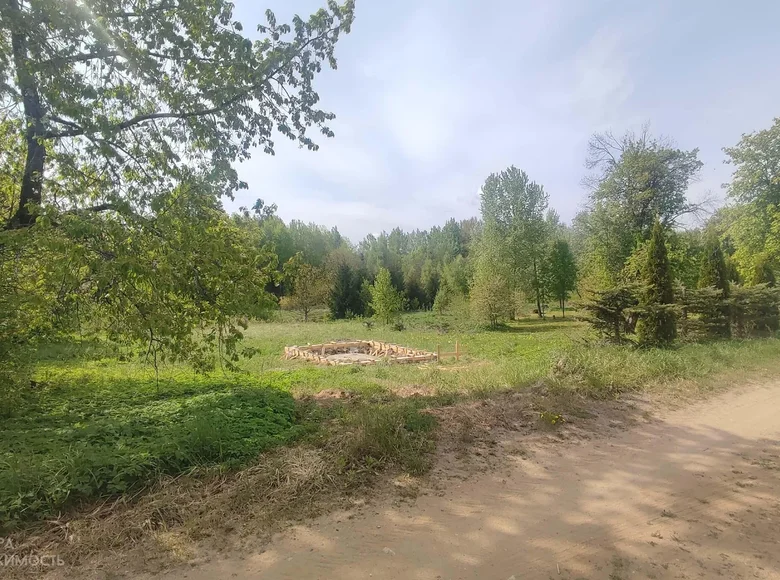 Działki  Putcynski selski Savet, Białoruś