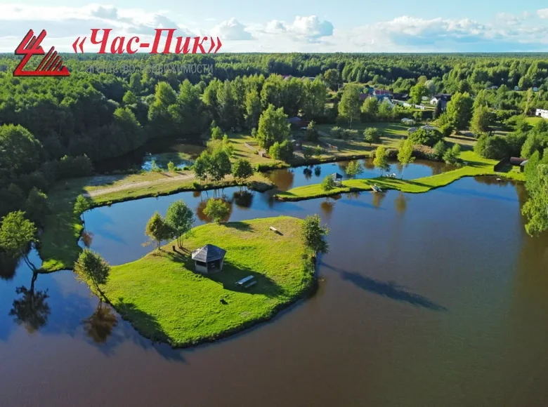 Nieruchomości komercyjne 1 000 m² Naracki sielski Saviet, Białoruś