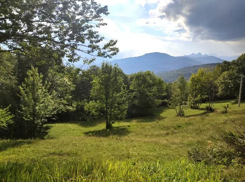 Land  Kolasin, Montenegro