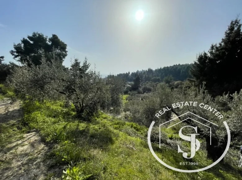 Producción 3 740 m² en Paliouri, Grecia