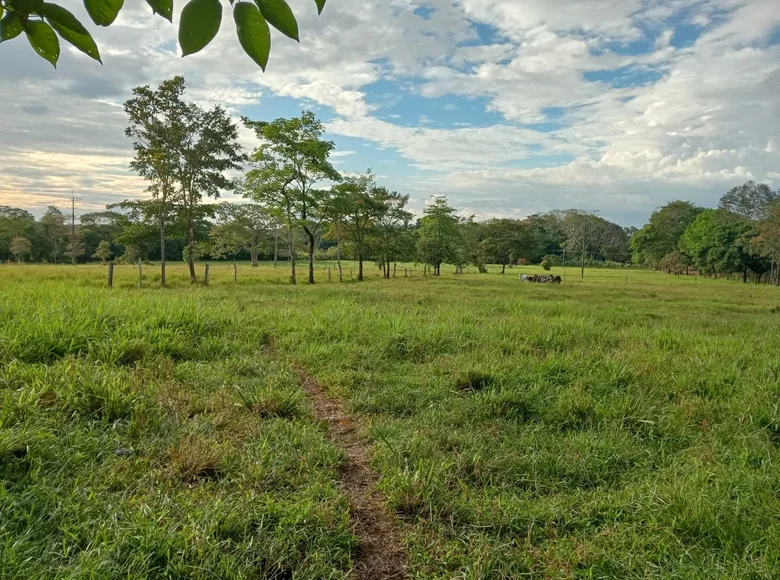 Land 630 000 m² San Jose del Guaviare, Colombia