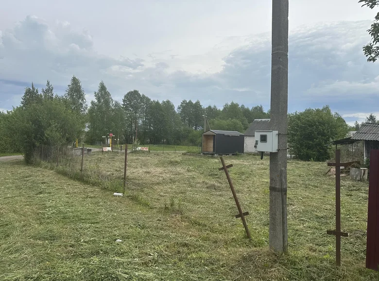 Grundstück  Nieharelski sielski Saviet, Belarus