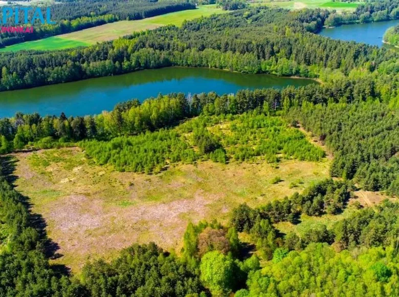 Land  Saluciai, Lithuania