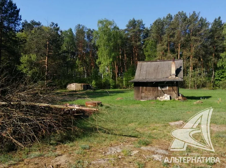 Casa 21 m² Radvanicki siel ski Saviet, Bielorrusia