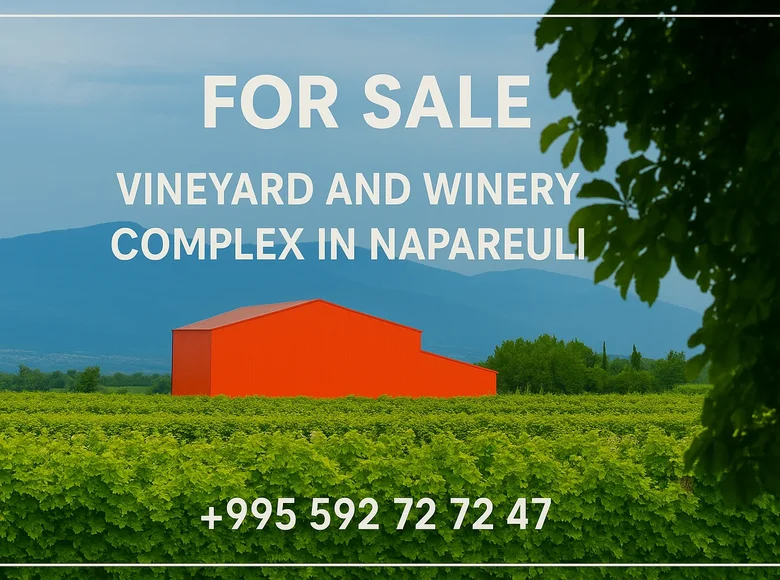 Now available for sale! A new wine factory complex in Kakheti, Telavi Municipality, in the village of Napareuli