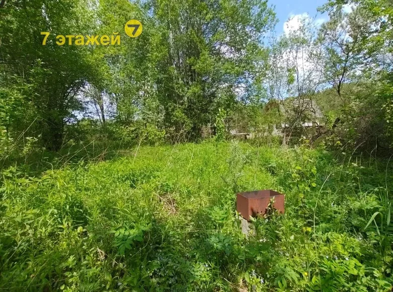 Land  Bialarucki sielski Saviet, Belarus
