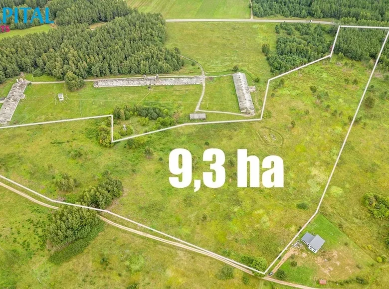 Land  Gulbine, Lithuania