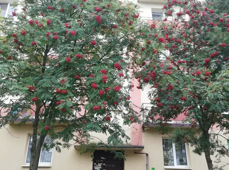 Apartamento 3 habitaciones 65 m² Dzyarzhynsk, Bielorrusia