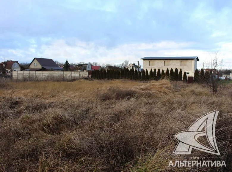 Land  carnaucycki sielski Saviet, Belarus