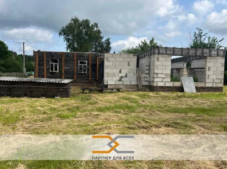 House 40 m² Viasiejski sielski Saviet, Belarus