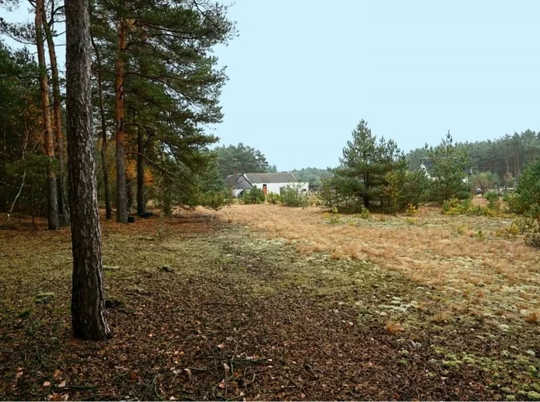 Land 20 624 m² Wrabczynek, Poland