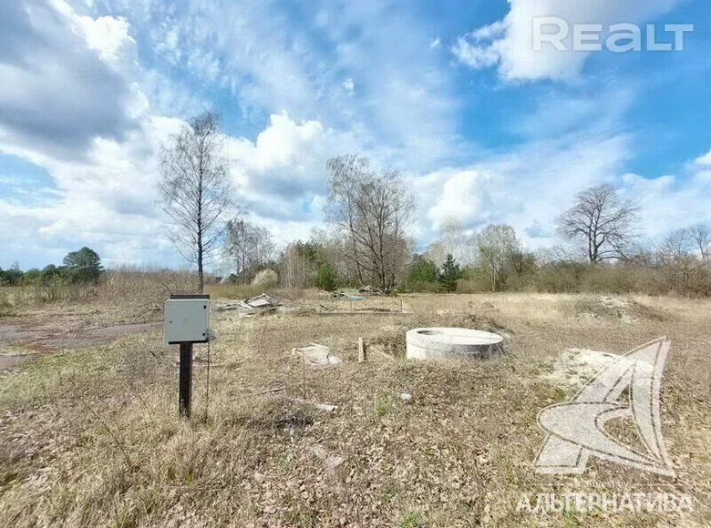 Grundstück 43 m² Vielikarycki sielski Saviet, Weißrussland