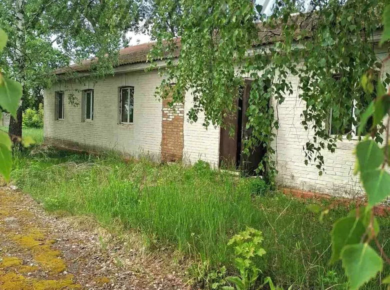 Commercial property 10 m² in Pruzanski sielski Saviet, Belarus