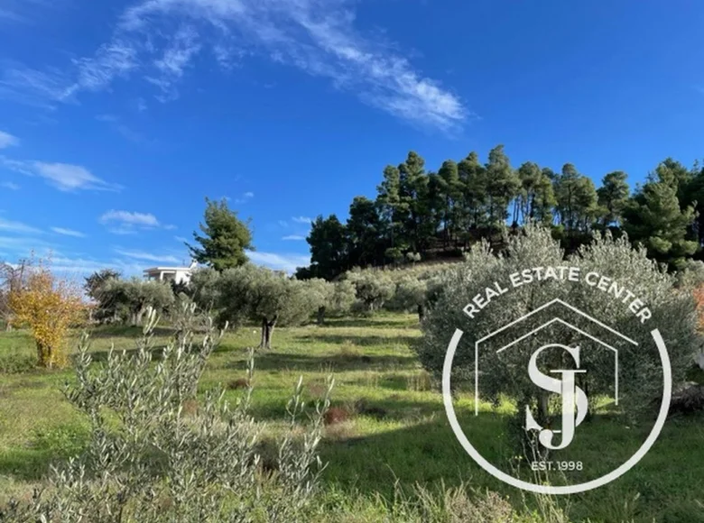 Producción 4 779 m² en Pefkochori, Grecia