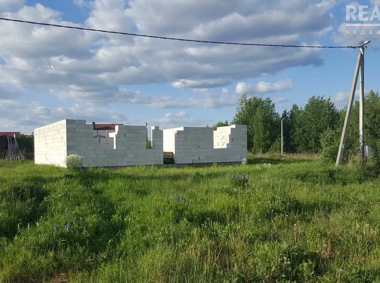 Cottage  maculiscy, Belarus