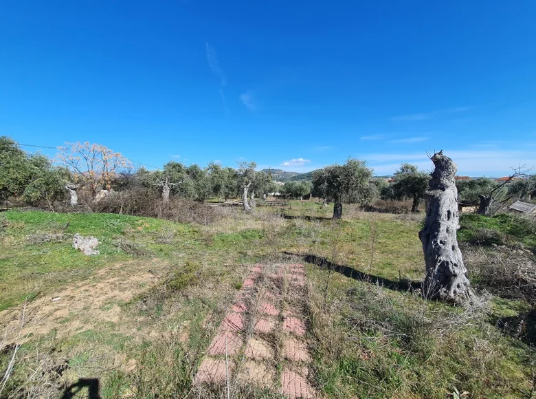 Land  Limenaria, Greece