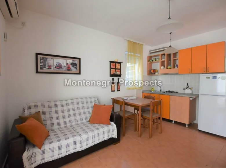 Apartment 44 m² Montenegro, Montenegro
