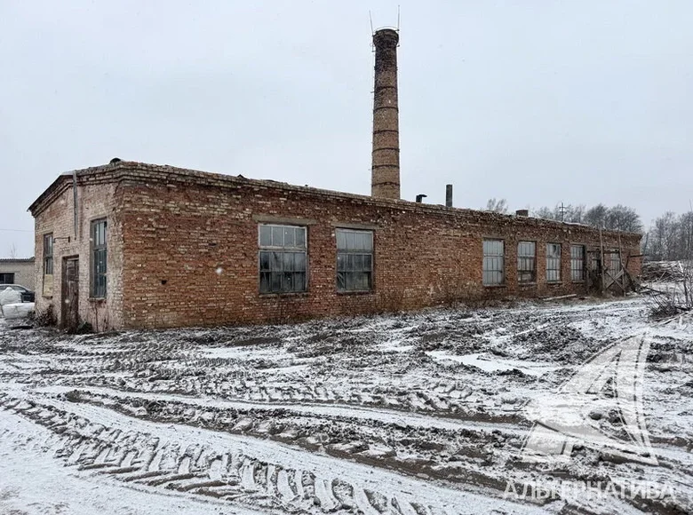 Производство 293 м² Дивинский сельский Совет, Беларусь