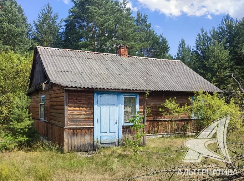 Casa 33 m² Miedna, Bielorrusia