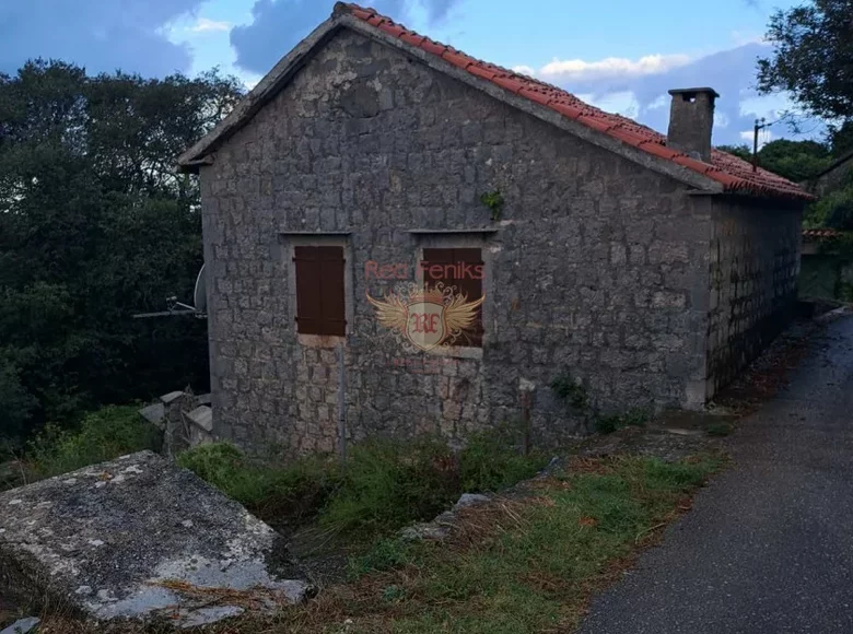 Haus 4 Zimmer 100 m² Zagora, Montenegro