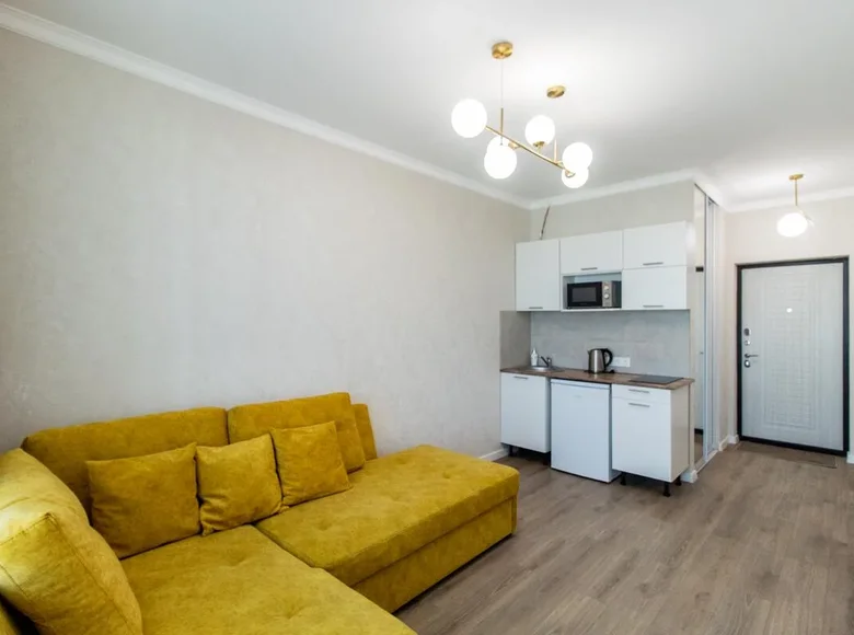 Appartement 1 chambre 28 m² Minsk, Biélorussie