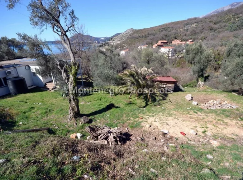 Land 608 m² Montenegro, Montenegro