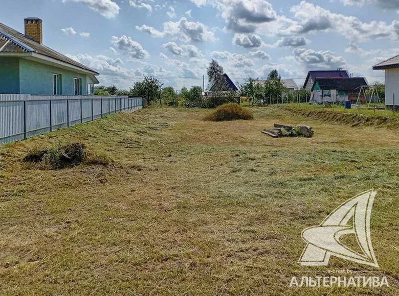 Land  carnaucycki sielski Saviet, Belarus