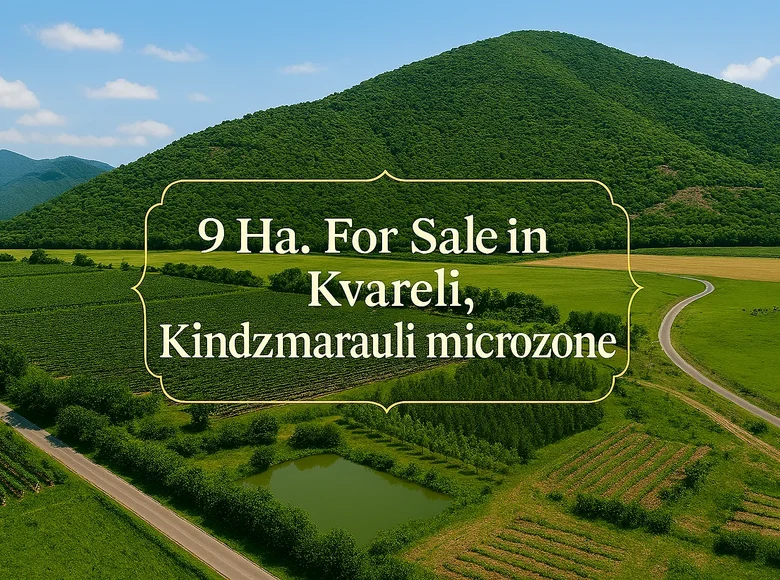 Land  Kvareli, Georgia