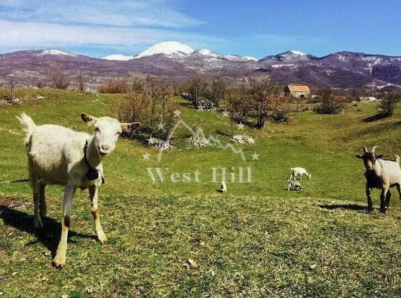 Atterrir  Niksic, Monténégro