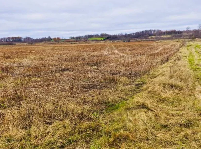 Land  Abavnieki, Latvia