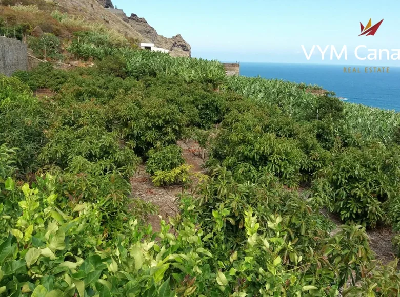 Wohnung  Buenavista del Norte, Spanien