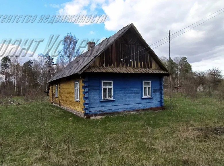 Haus 44 m² Lukauski sielski Saviet, Weißrussland