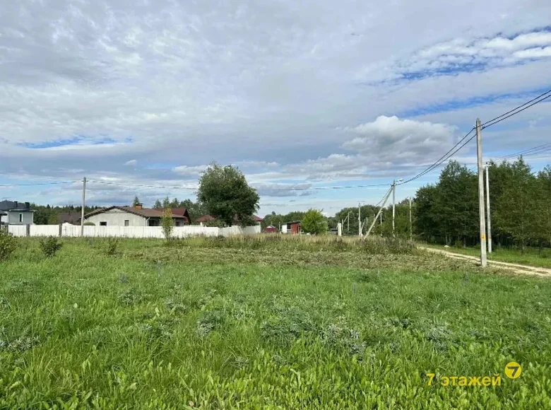 Haus  Putcynski siel ski Saviet, Weißrussland