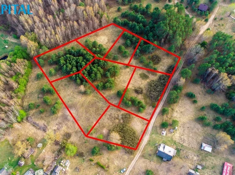 Land  Puvociai, Lithuania