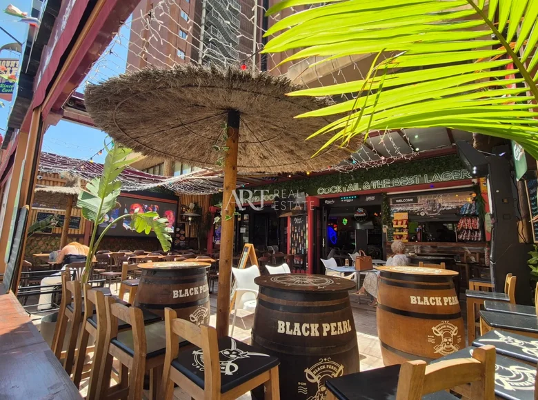 Propriété commerciale 150 m² à Benidorm, Espagne