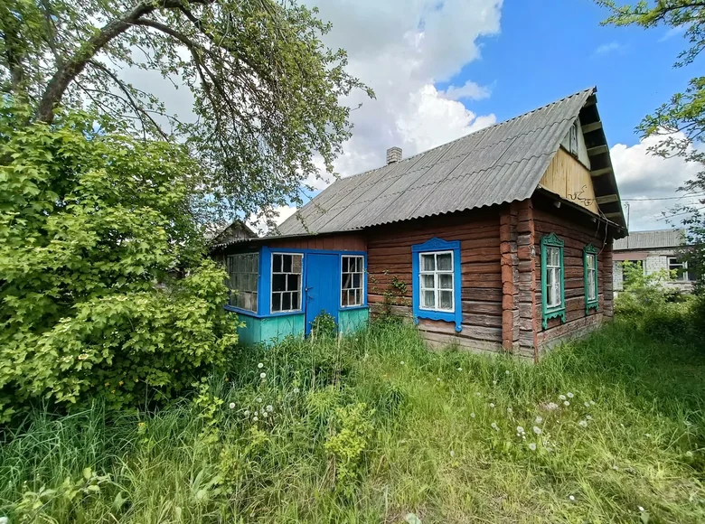 Casa 50 m² Zodzinski sielski Saviet, Bielorrusia