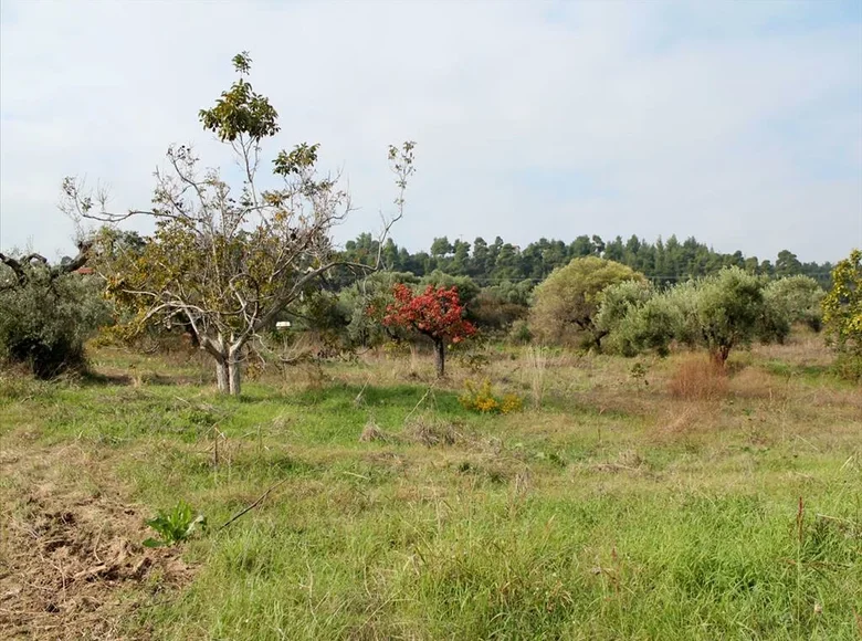 Land 1 room  Kriopigi, Greece