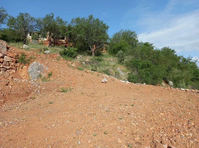 Grundstück 1 Zimmer 2 800 m² Tuerktas, Türkei