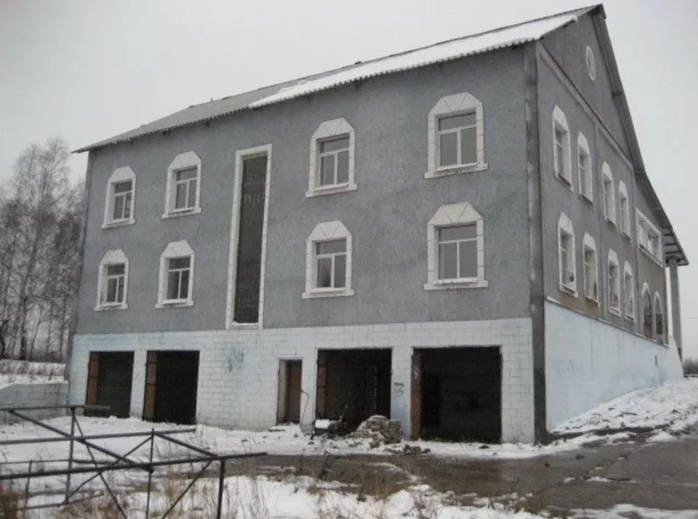 Investment  in Central Administrative Okrug, Russia