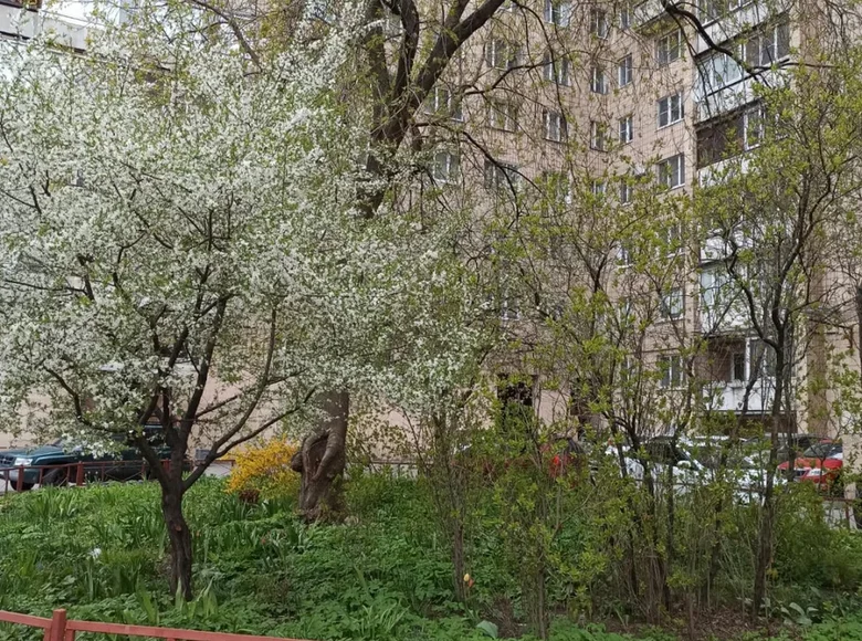 Apartamento 1 habitación 38 m² San Petersburgo, Rusia