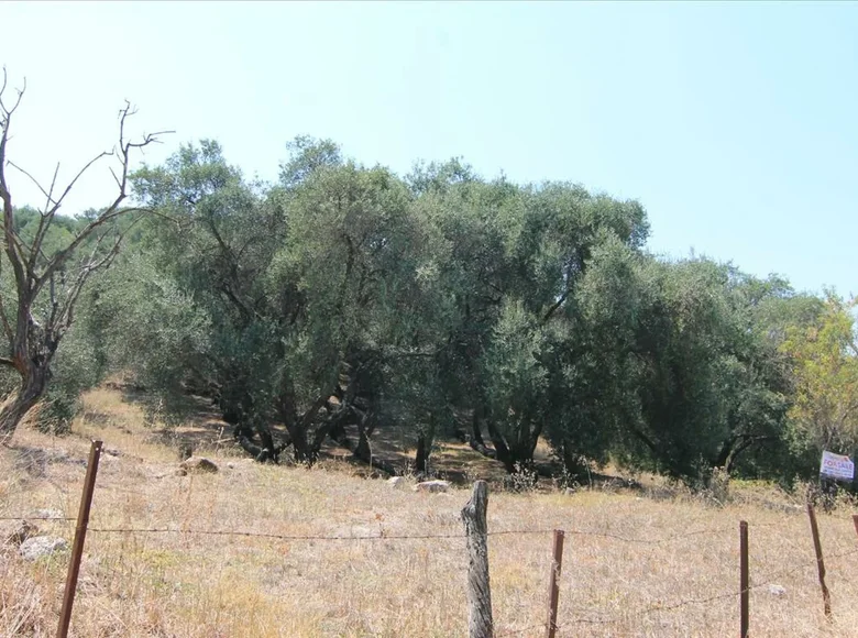 Land 1 room  Agios Pantaleimonas, Greece