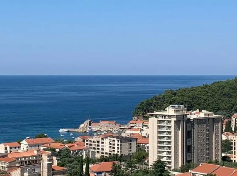 Apartamento 1 habitacion 43 m² Petrovac, Montenegro